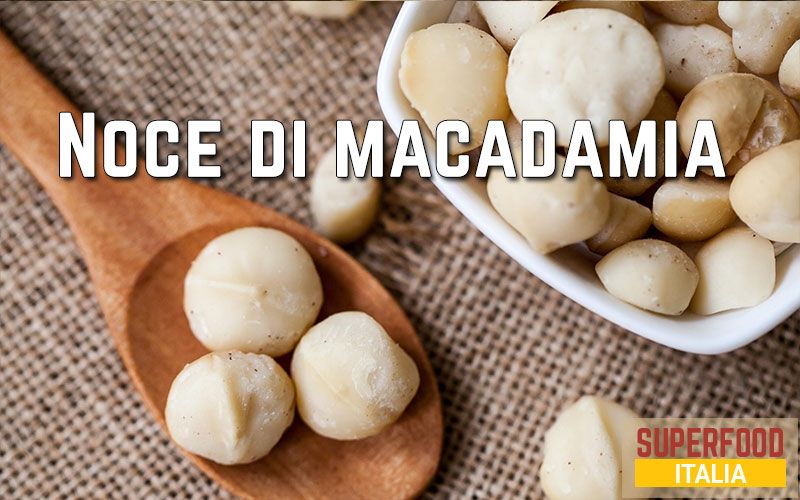 noce-di-macadamia