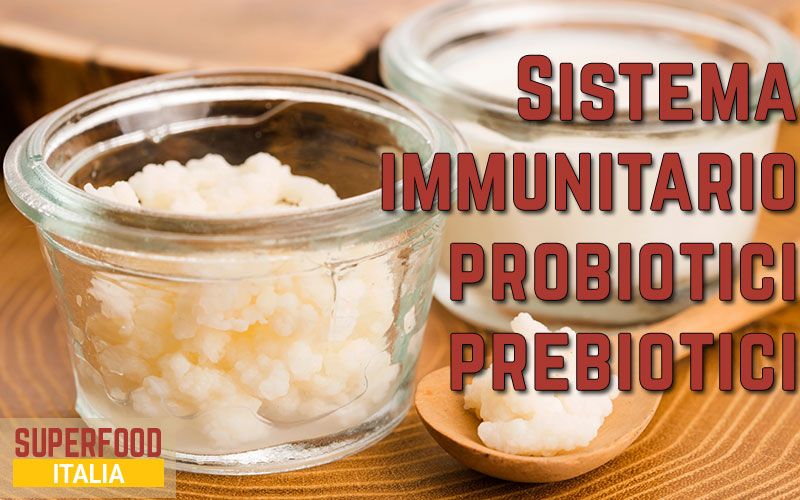 probiotici-prebiotici