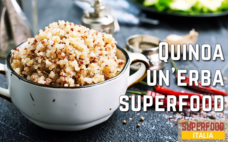 quinoa