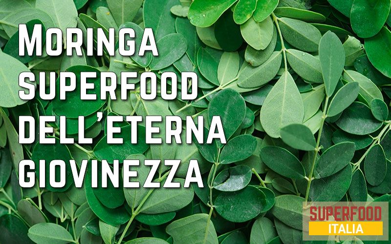 moringa