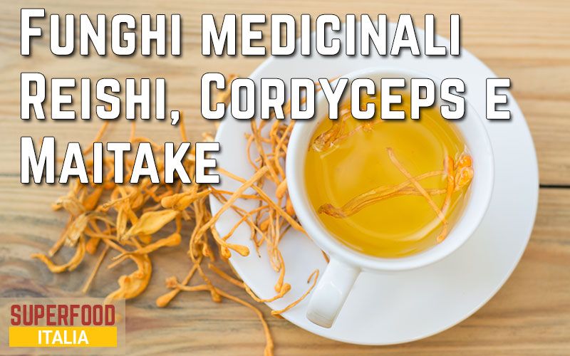 funghi-medicinali