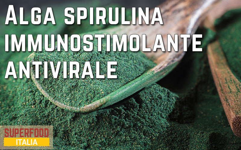 alga-spirulina-difese-immunitarie
