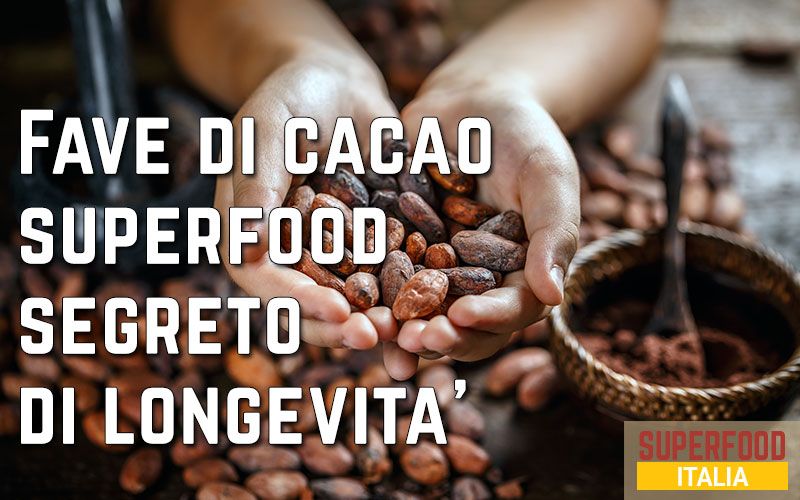 fave-di-cacao