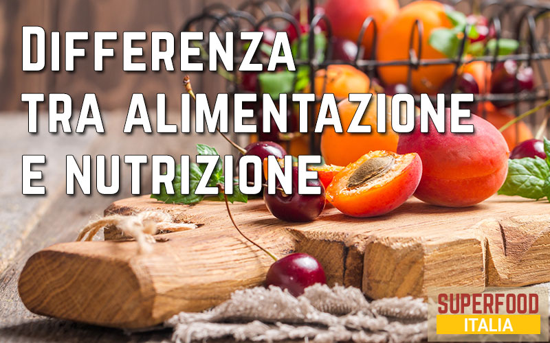 Differenza tra alimentazione e nutrizione: due concetti ...